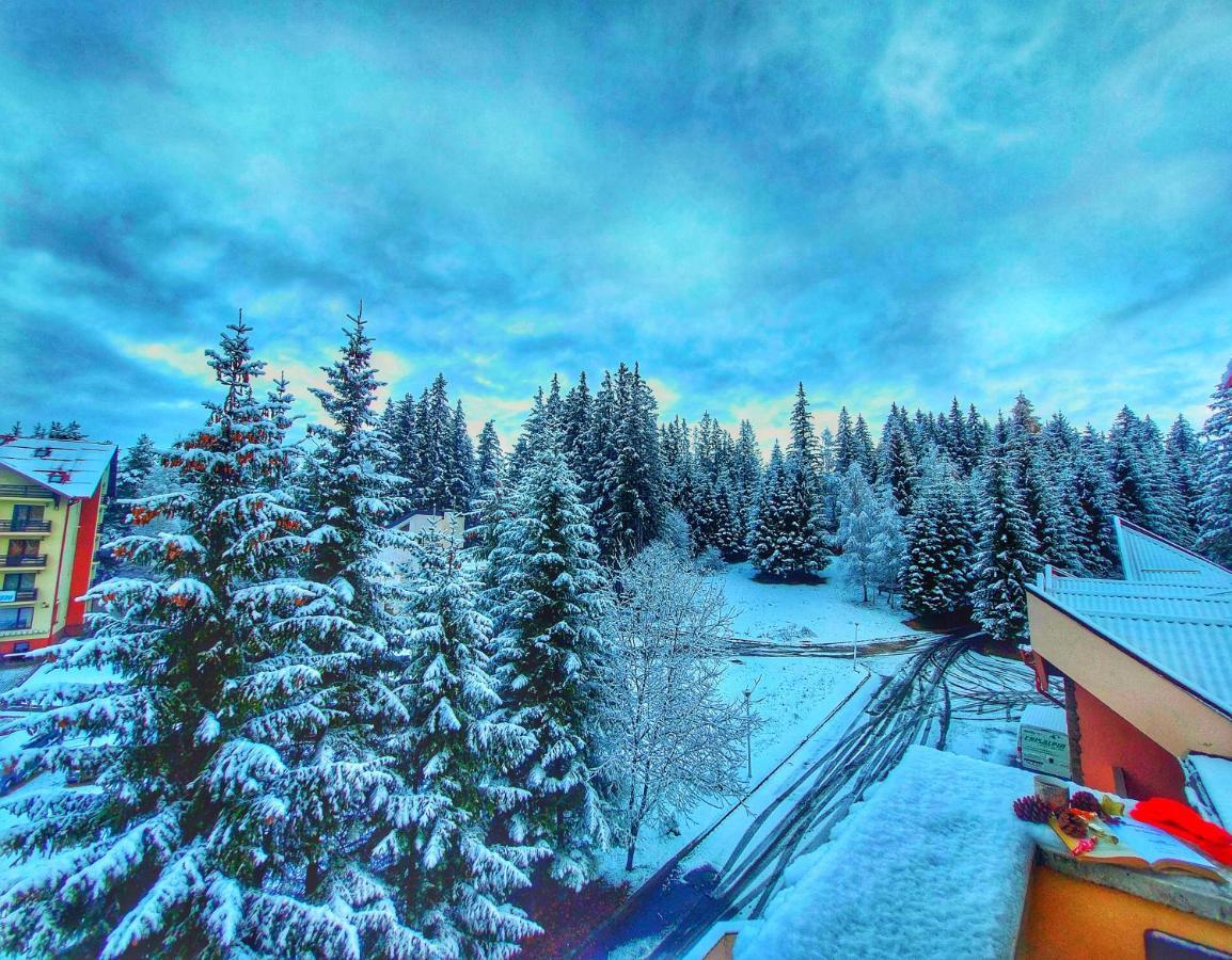 Hotel Vila Simonte Poiana Brasov Esterno foto