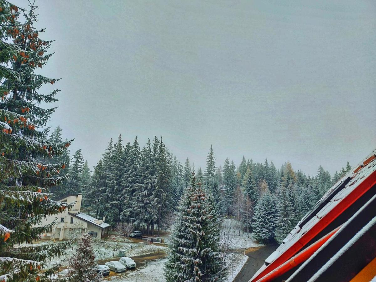 Hotel Vila Simonte Poiana Brasov Esterno foto