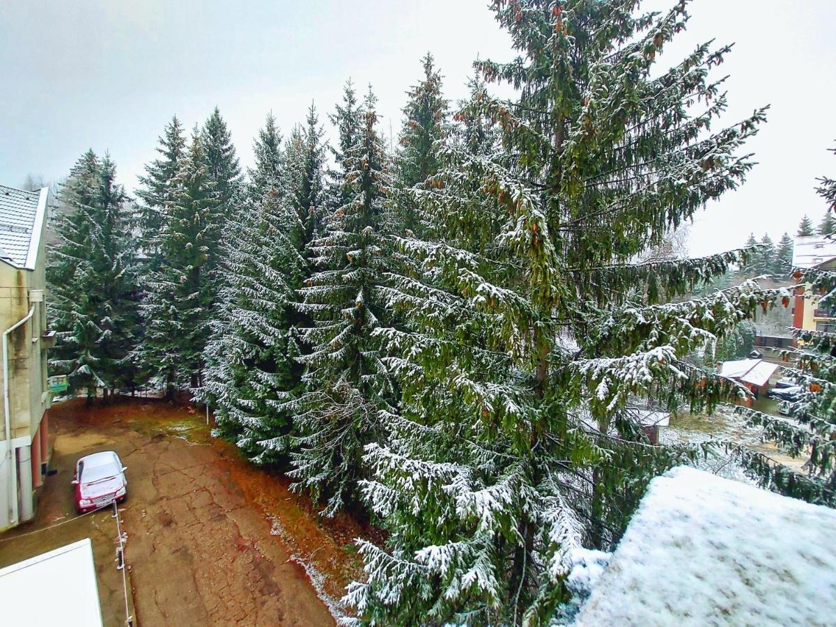 Hotel Vila Simonte Poiana Brasov Esterno foto