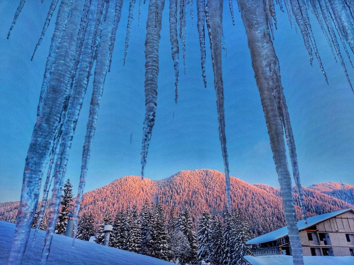 Hotel Vila Simonte Poiana Brasov Esterno foto