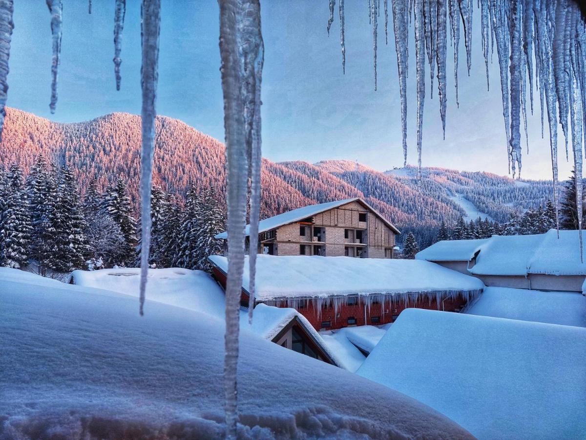 Hotel Vila Simonte Poiana Brasov Esterno foto